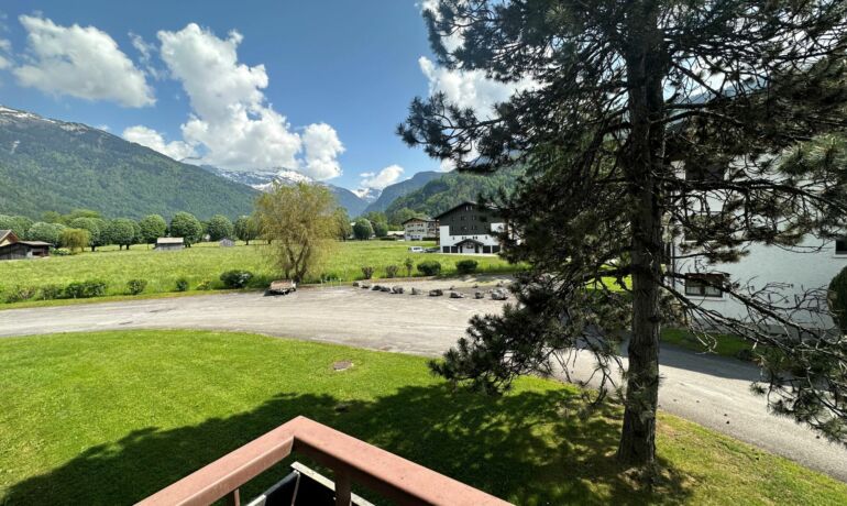 EXCLUSIVE : Flat« Le Foillis » – in Samoëns